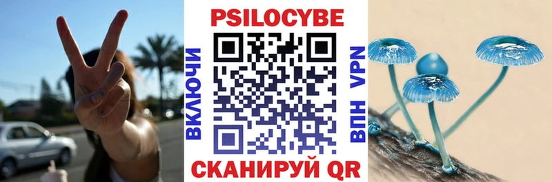 дарнет шоп  сайты даркнета состав  Псилоцибиновые грибы прущие грибы  Руза 